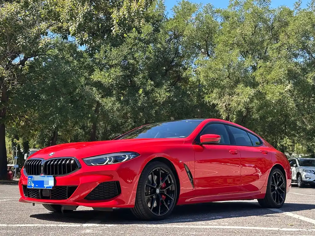 BMW 8 Series