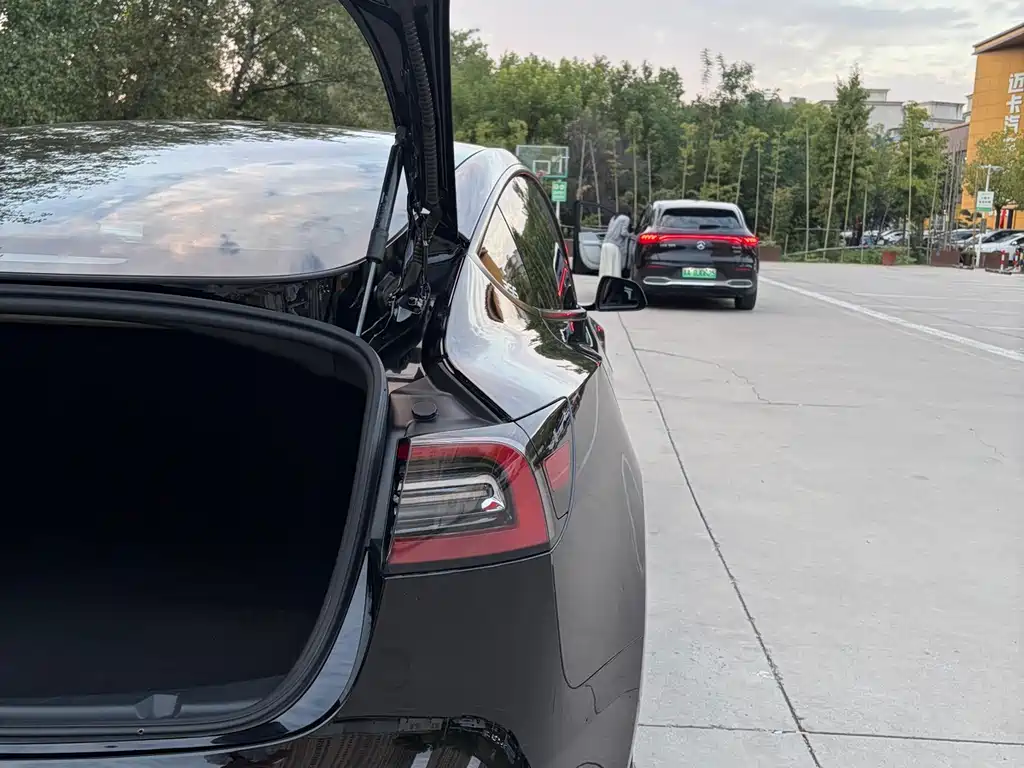 Tesla Model 3 — миниатюра 7