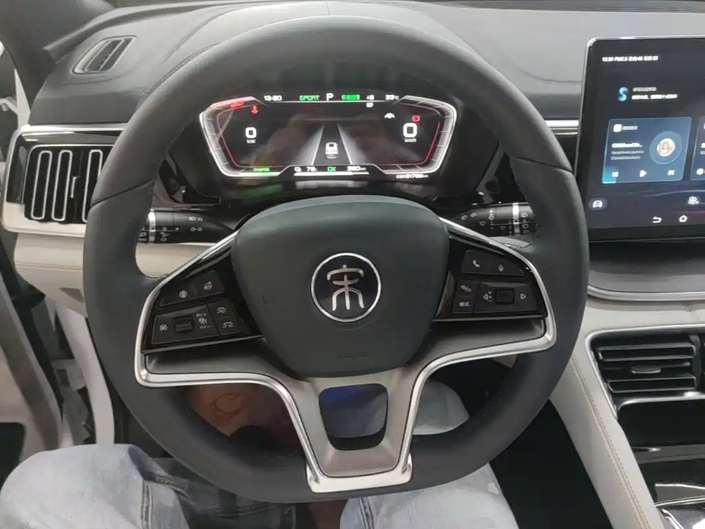 BYD PLUS New Energy — миниатюра 11