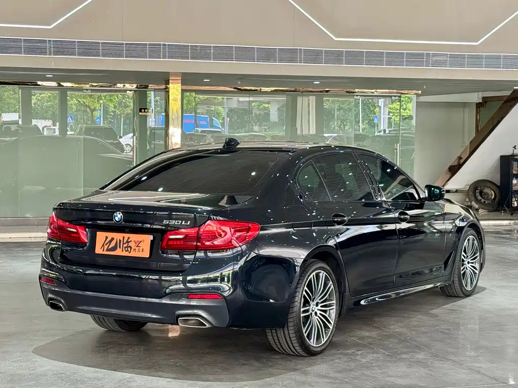 BMW 5 Series — миниатюра 16