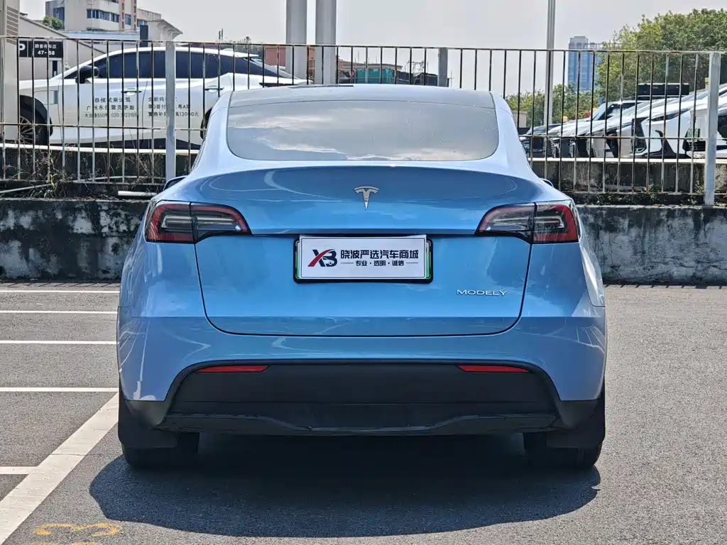 Tesla Model Y — миниатюра 5