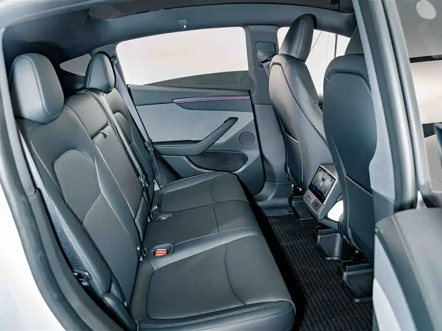 Tesla Model Y — миниатюра 20
