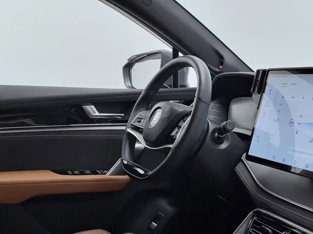 BYD Tang New Energy — миниатюра 22