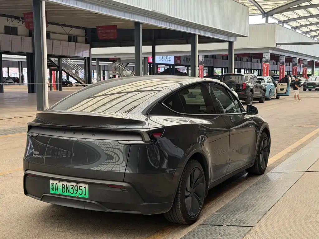 Tesla Model Y — миниатюра 10