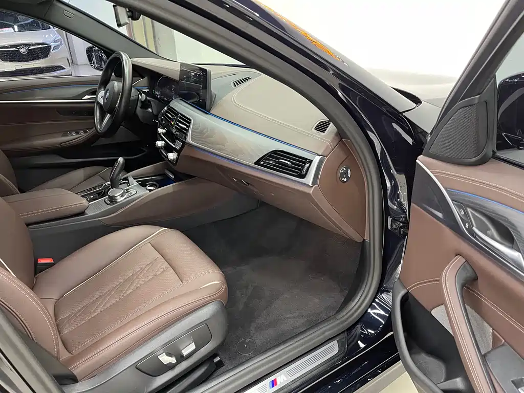 BMW 5 SERIES NEW ENERGY