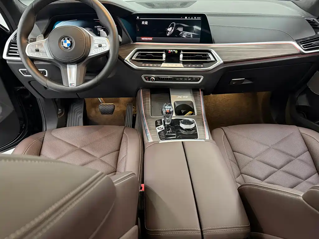 BMW X5 — миниатюра 7