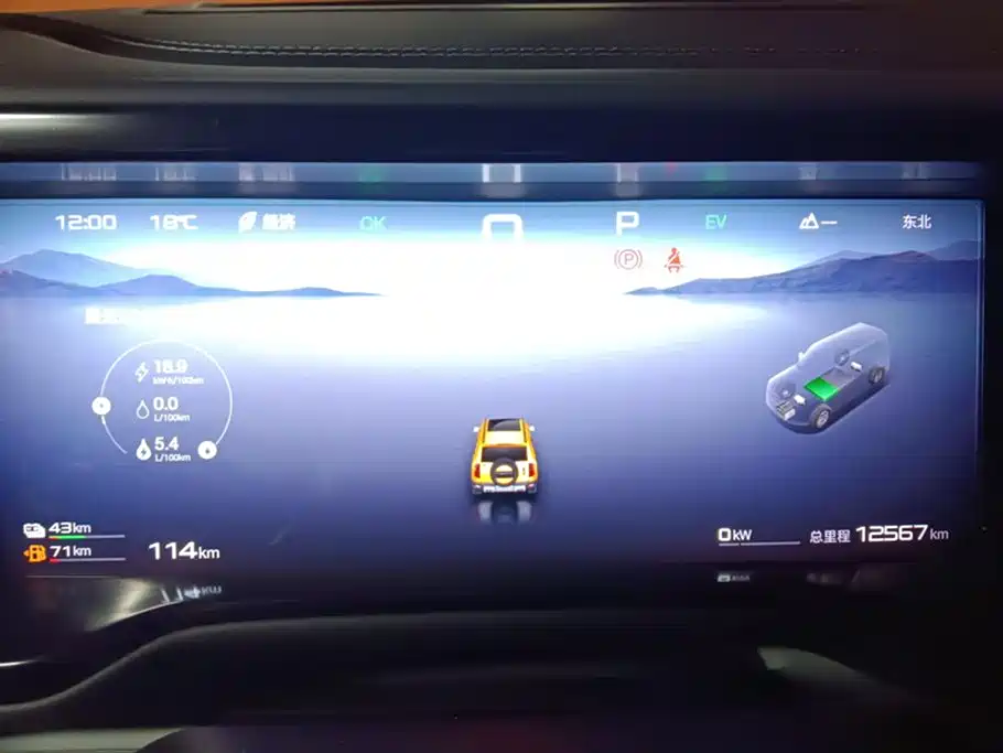 FANG CHENG BAO LEOPARD 5