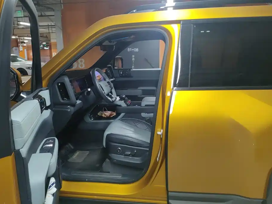 FANG CHENG BAO LEOPARD 5