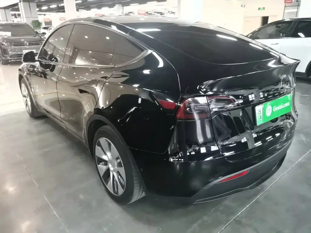 Tesla Model Y — миниатюра 5