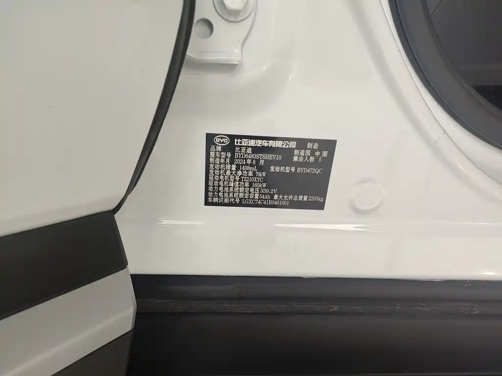 BYD SONGJIANG NEW ENERGY