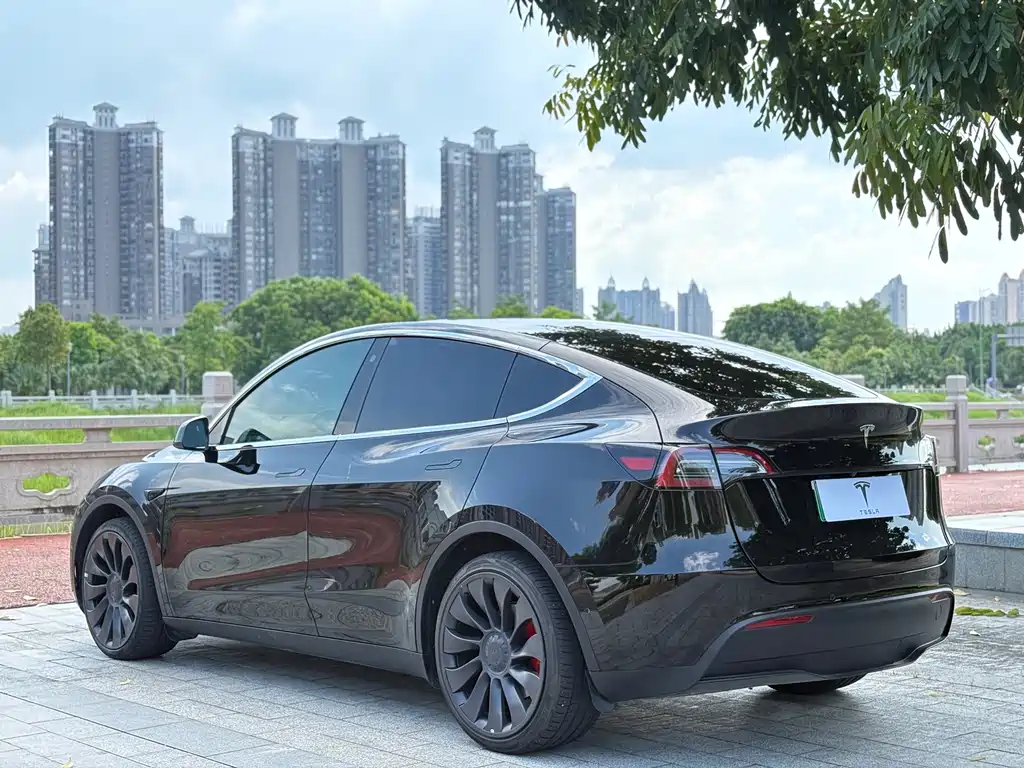 Tesla Model Y — миниатюра 7
