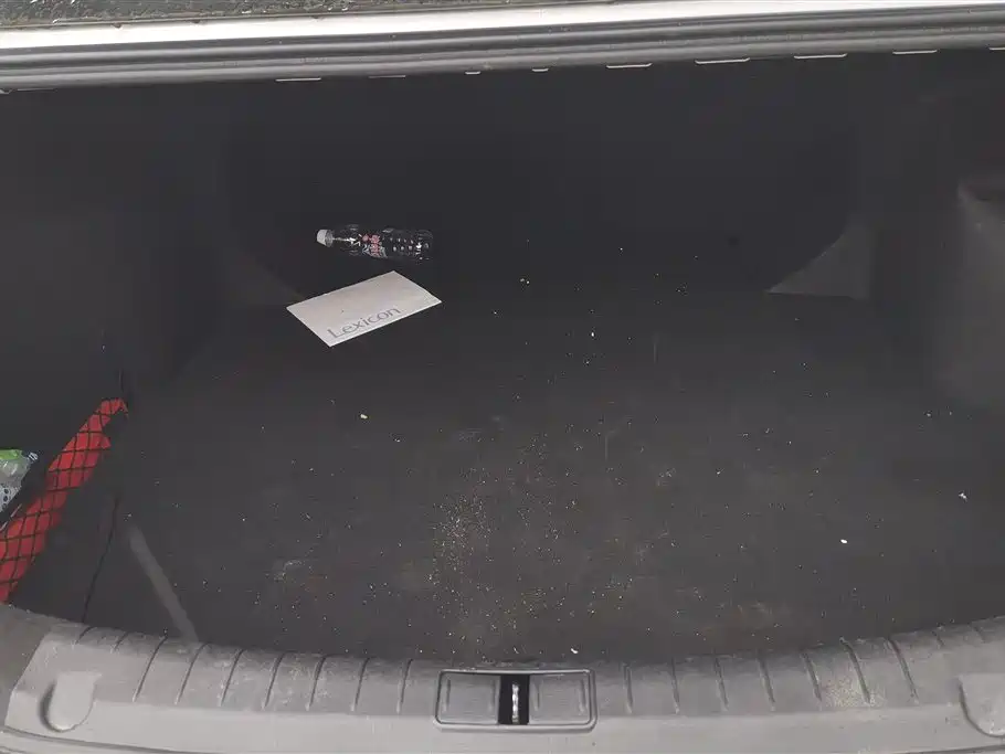 GEELY AUTOMOBILE BINRUI