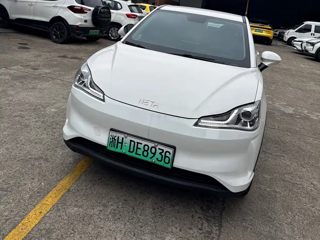 Neta Neta V 2021