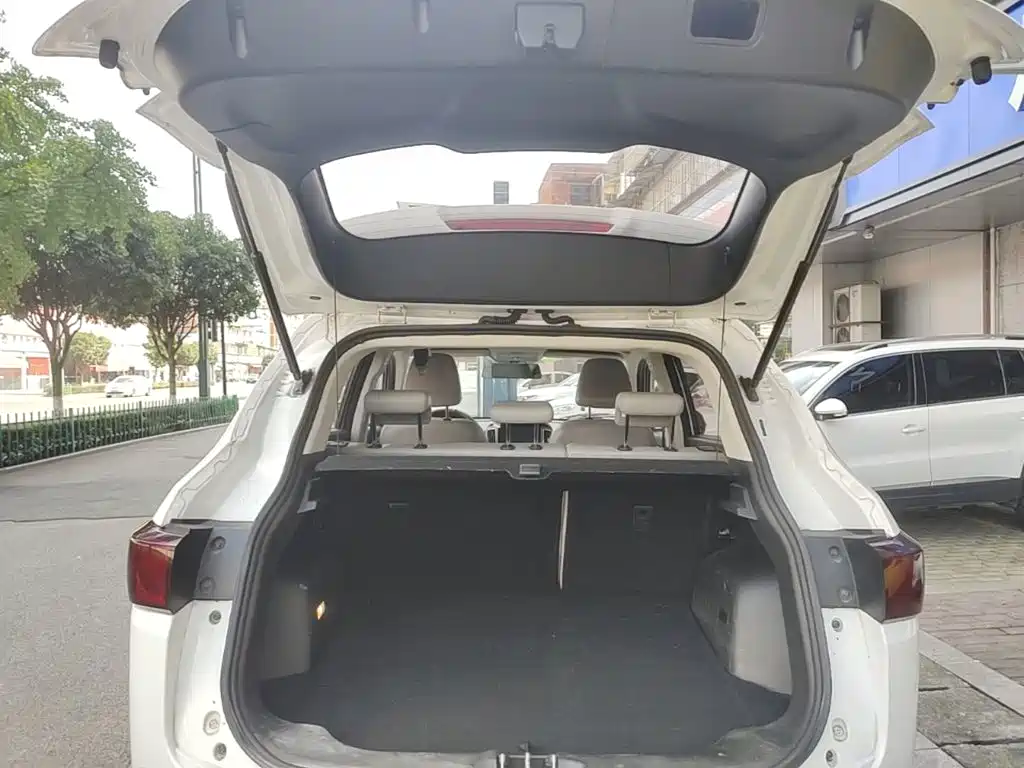Huasu Huansu S5 — миниатюра 19