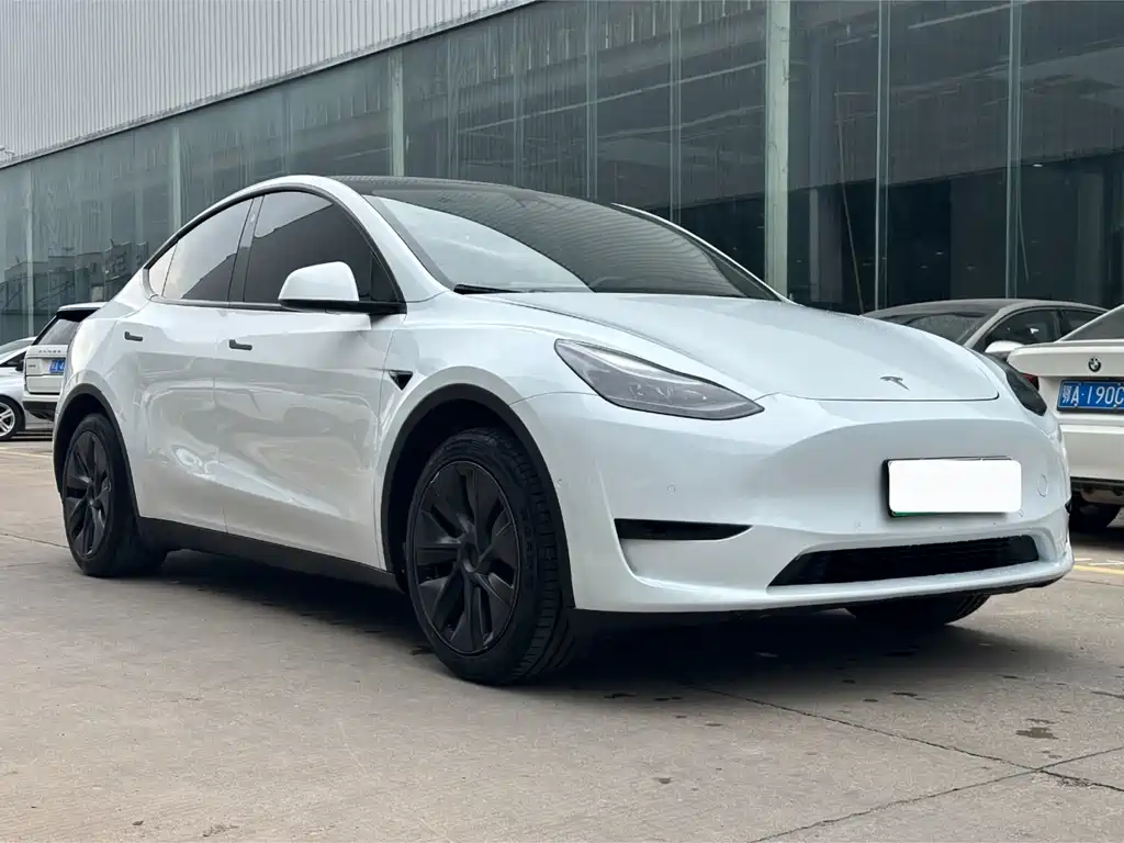 Tesla Model Y — миниатюра 3