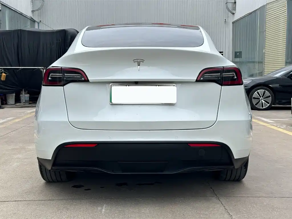 Tesla Model Y — миниатюра 7