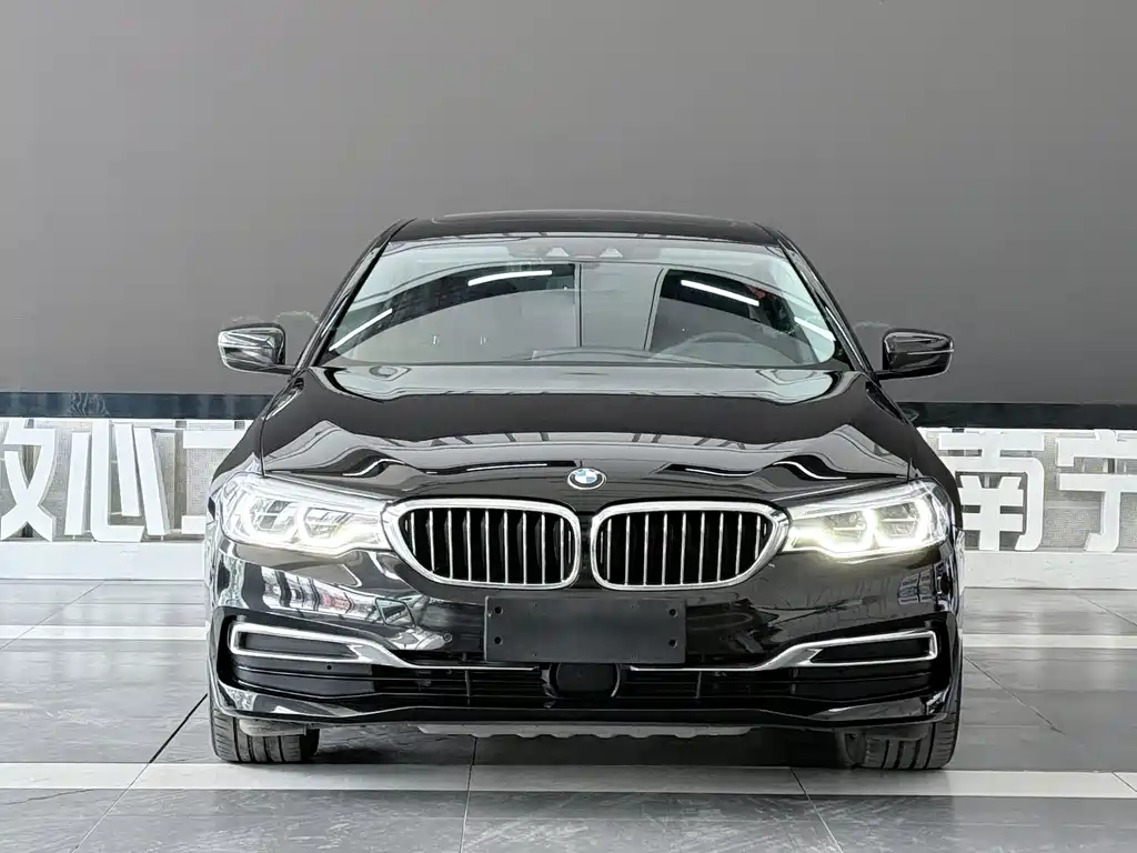 BMW 5 Series New Energy — миниатюра 2