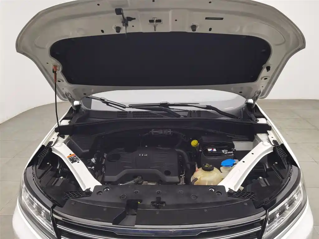 Roewe RX5 2019 20T AT 4G