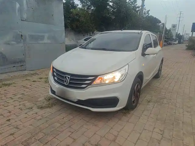 BAOJUN  310 2020