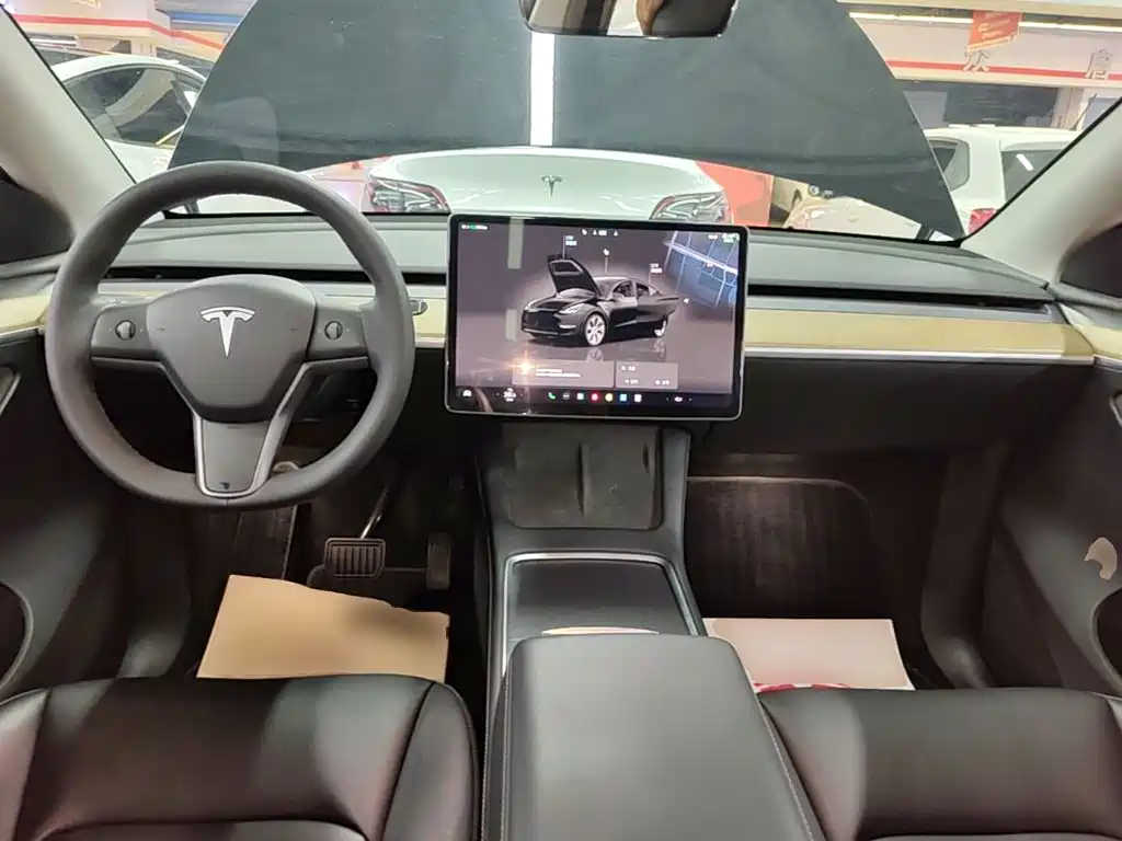 Tesla Model Y — миниатюра 10
