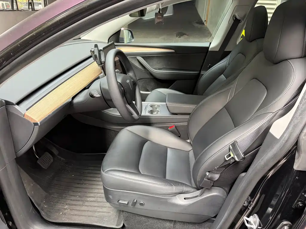 Tesla Model Y — миниатюра 8