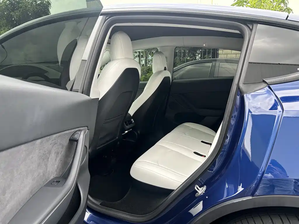 Tesla Model Y — миниатюра 5