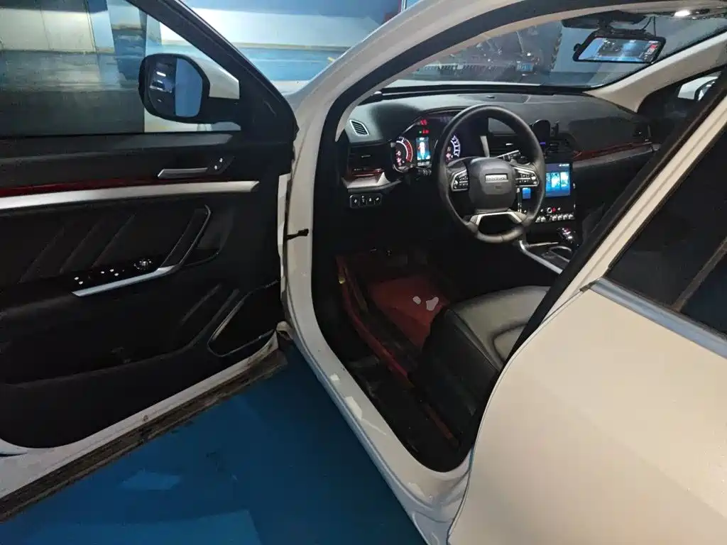 Haval H4 — миниатюра 12