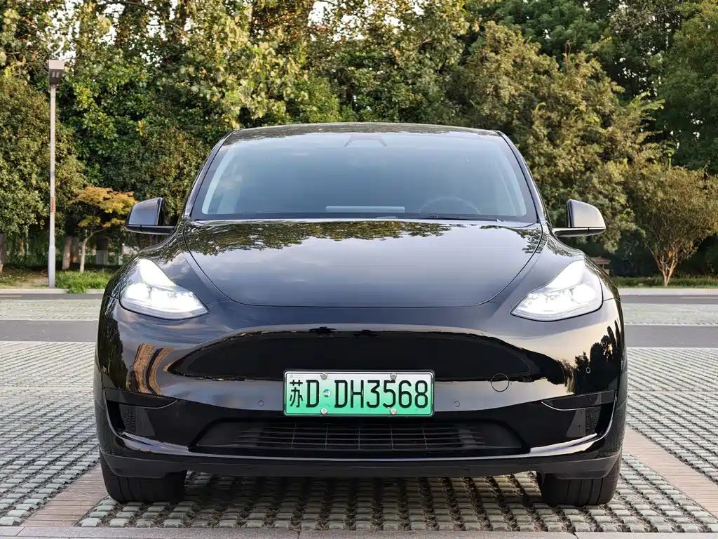 Tesla Model Y — миниатюра 2