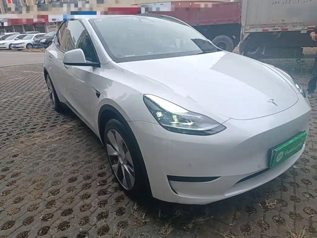 Tesla Model Y — миниатюра 4
