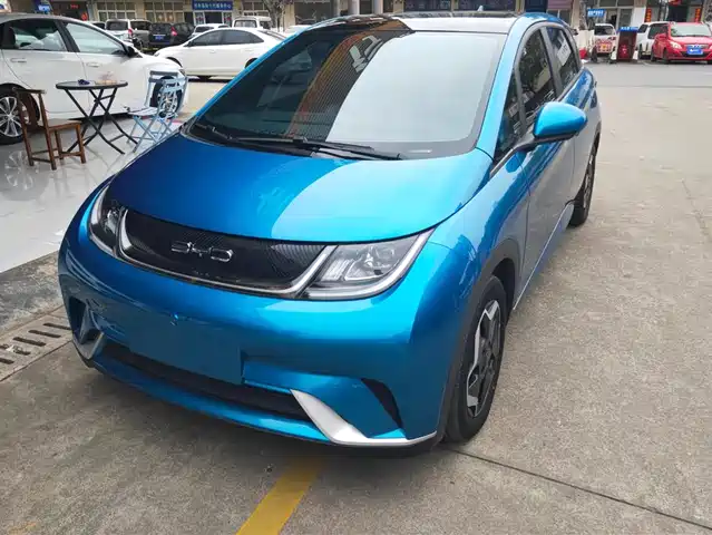 byd dolphin