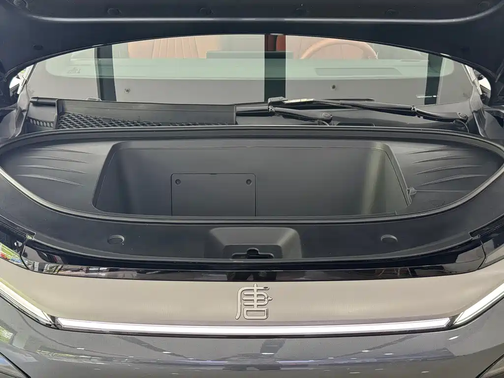BYD Дон Л. — миниатюра 4