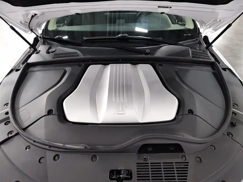 BYD Tang 2019 DM 2.0T 7 мест VI