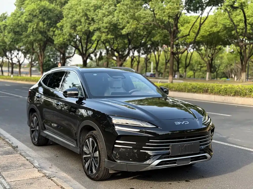 BYD PLUS New Energy — миниатюра 3