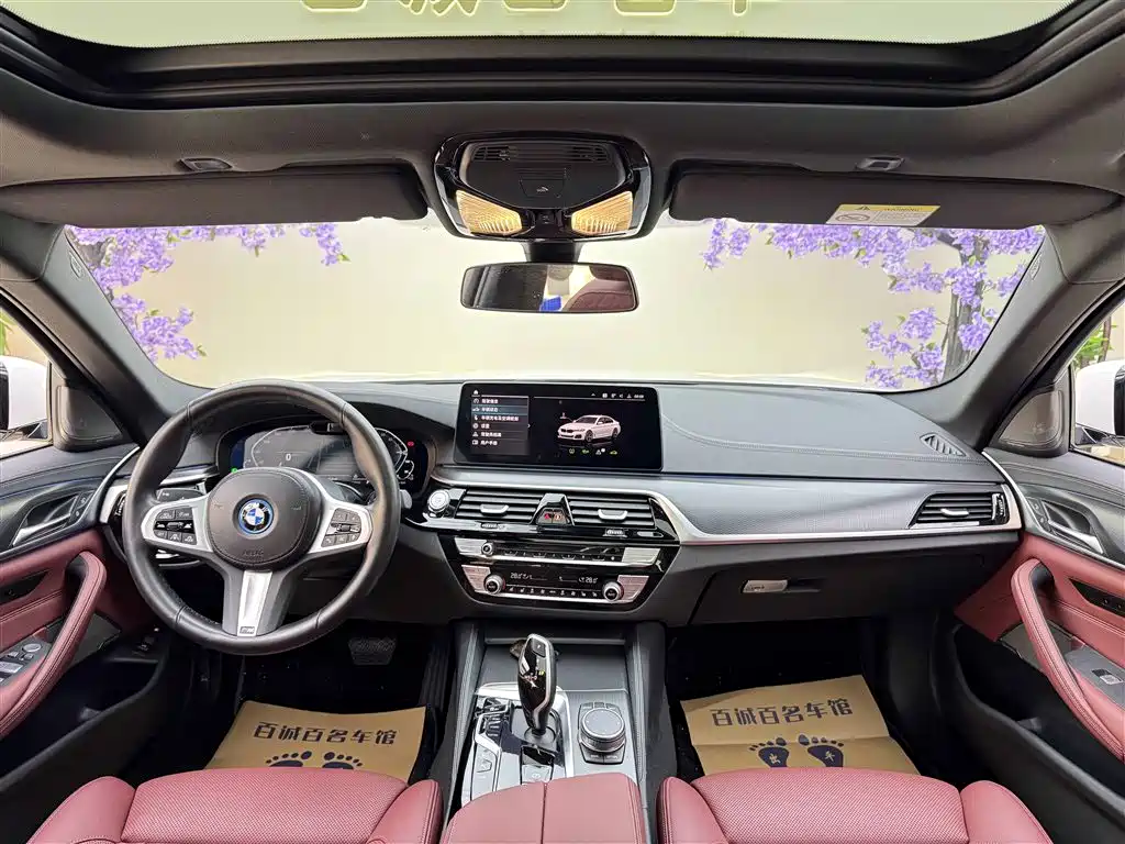 BMW 5 SERIES NEW ENERGY