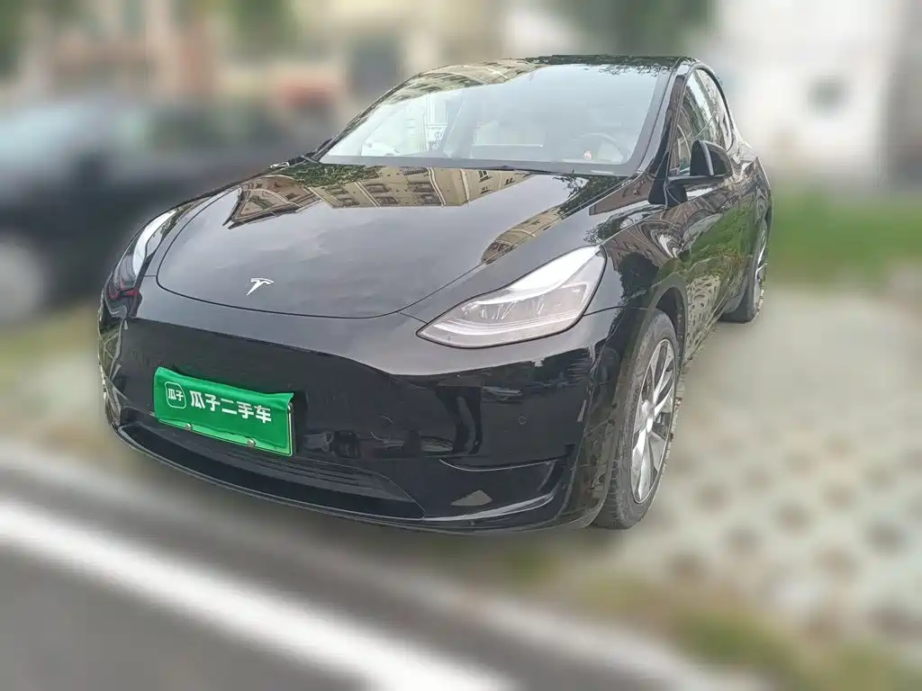 Tesla Model Y — миниатюра 2