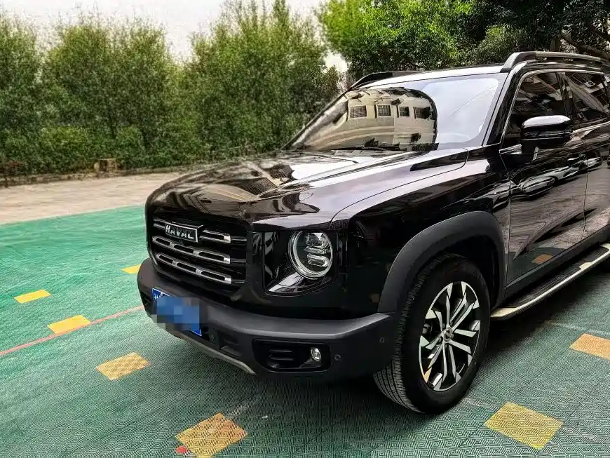 HAVAL BIG DOG