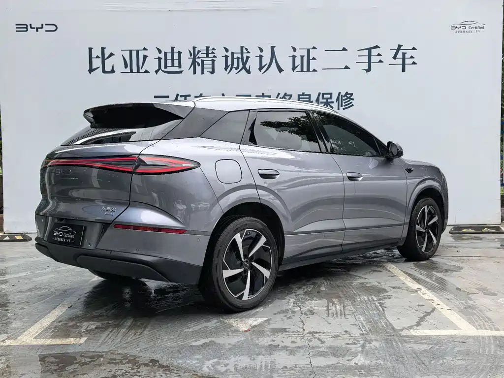 BYD Sea Lion 06 06 2025 DM-i 205 Pro