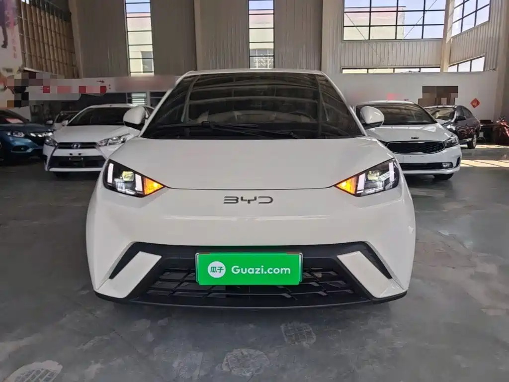 BYD Seagull 2023 Freedom