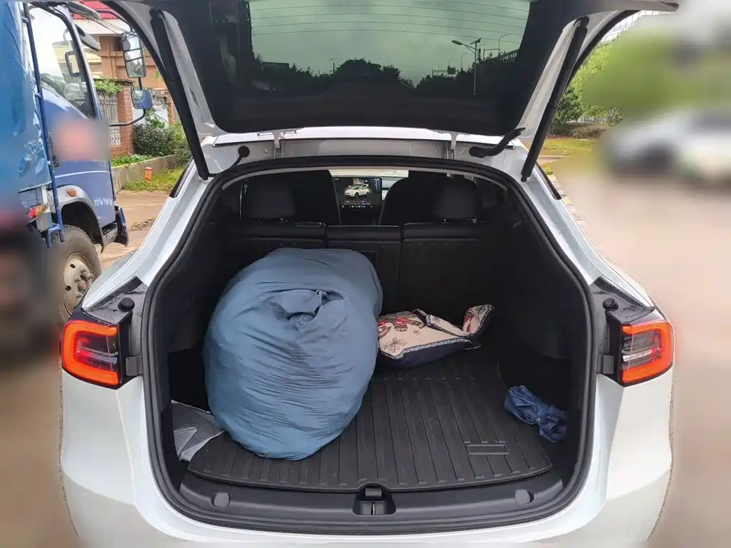 Tesla Model Y — миниатюра 15
