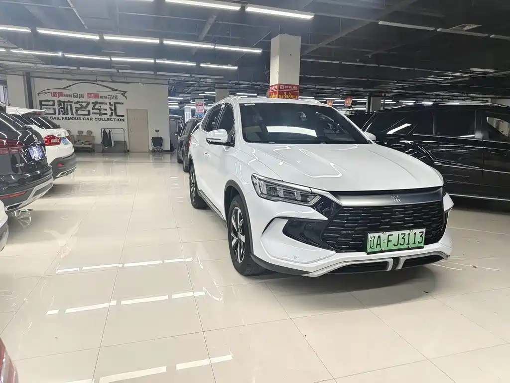 BYD Pro New Energy - фото 3