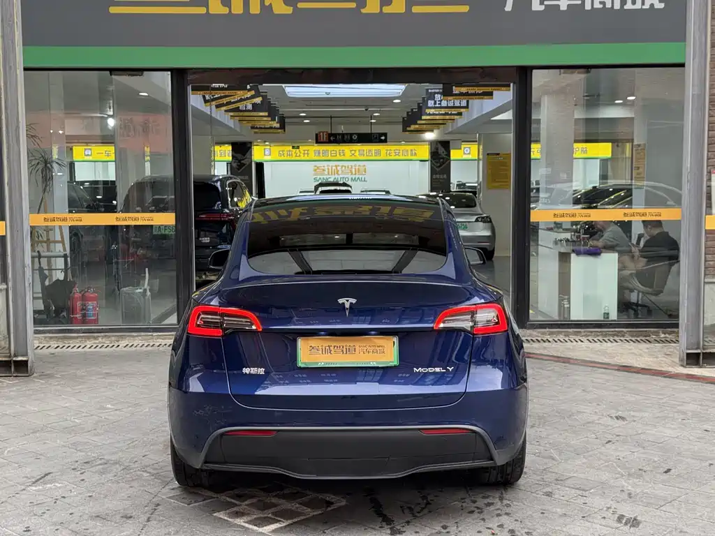 Tesla Model Y — миниатюра 5
