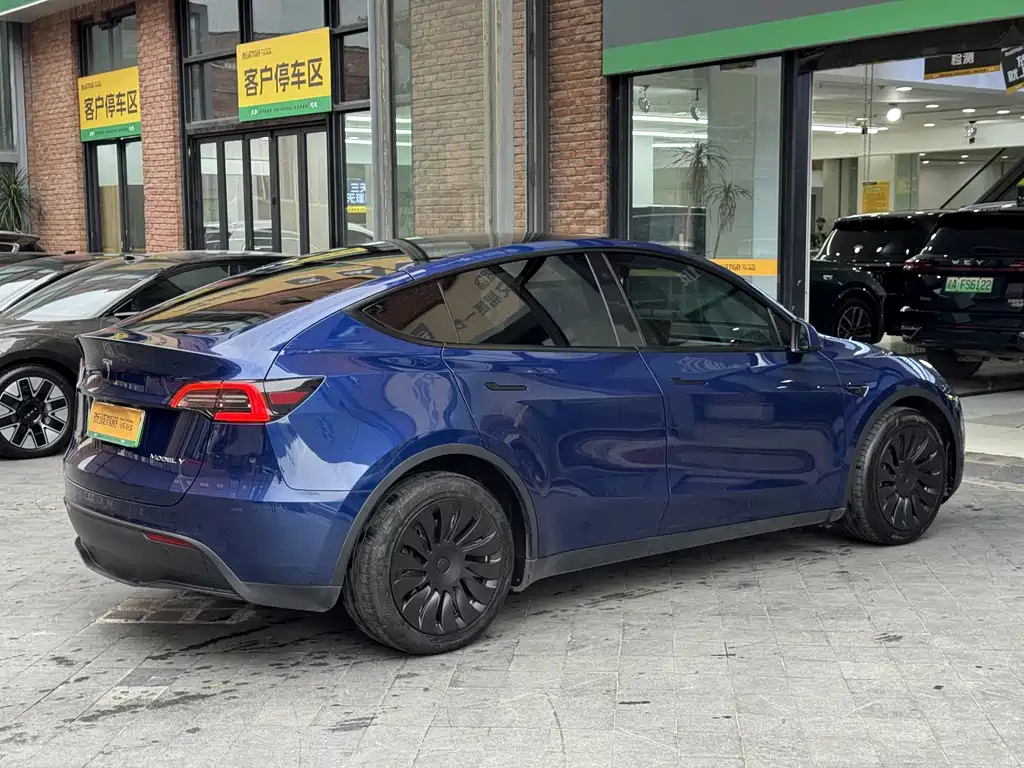 Tesla Model Y — миниатюра 7