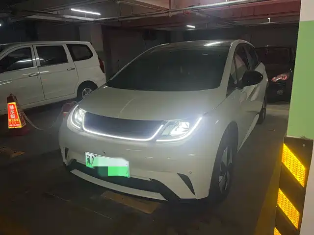 2023 BYD Dolphin