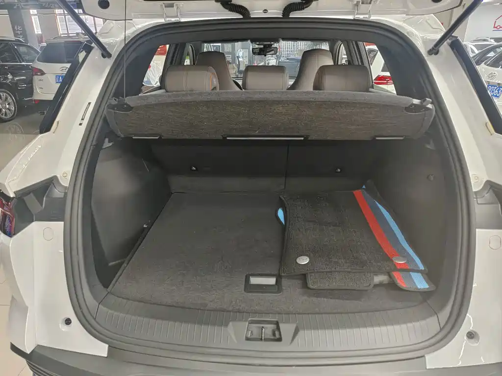 BYD Pro New Energy - фото 7
