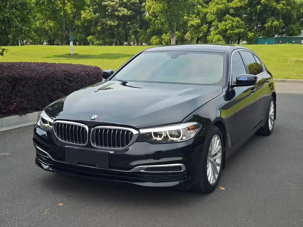 BMW 5 Series 2019