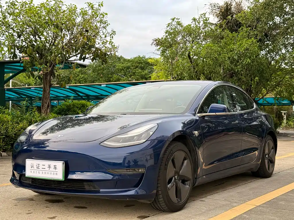 Tesla Model 3 2019