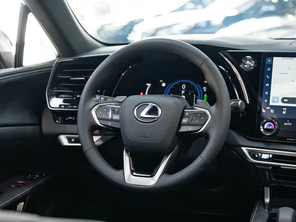 Lexus RX New Energy — миниатюра 14