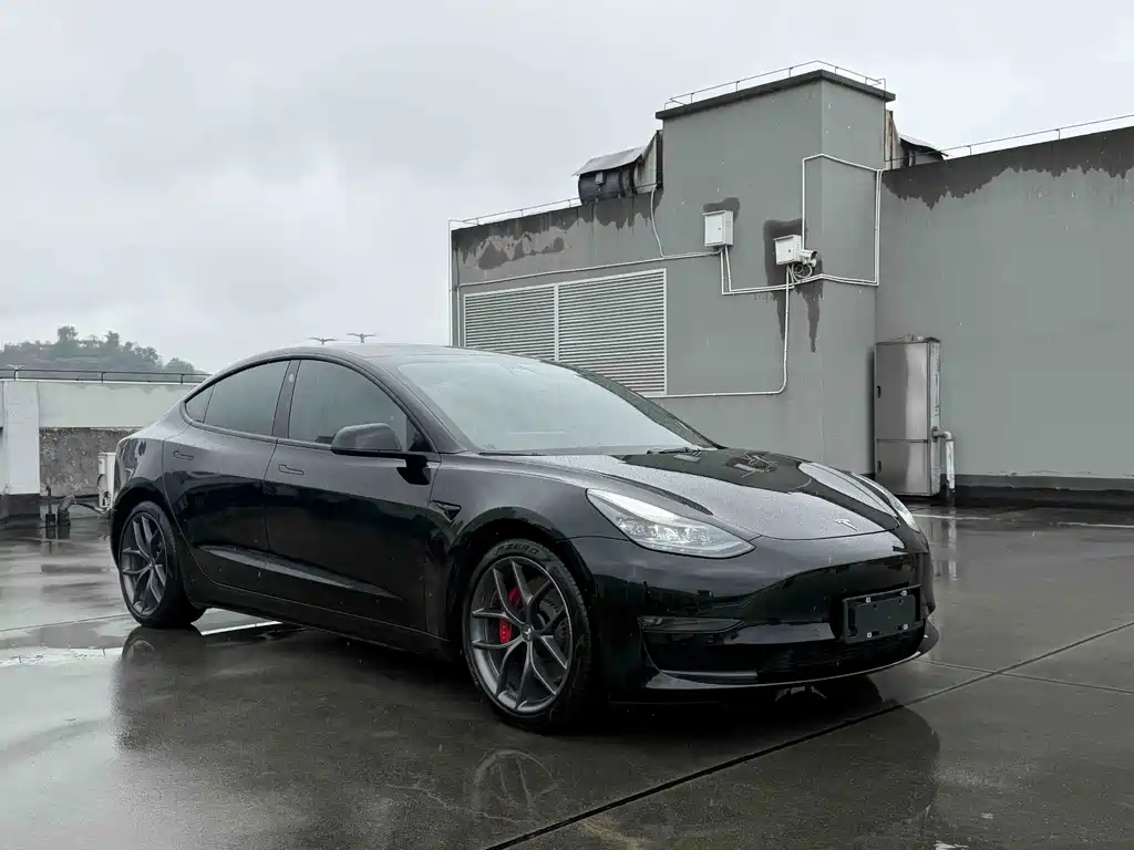 Tesla Model 3 — миниатюра 3