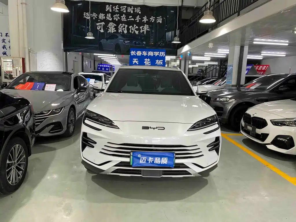 BYD PLUS New Energy — миниатюра 2