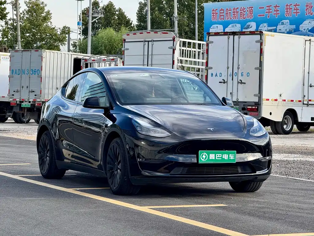 Tesla Model Y — миниатюра 3